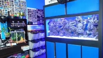 Profitable Aquarium Maintenance Company – Established Client Base