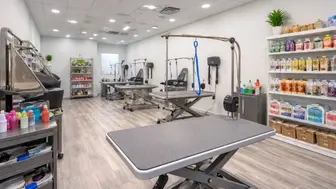 High-Margin Pet Grooming Salon | $125K SDE | Loyal Clientele | Turnkey