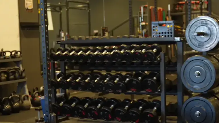 Barbells & Plates