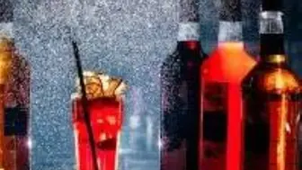 Hillsborough County 4 COP / 3PS  Liquor License for Sale