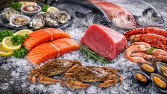 Profitable Seafood Wholesale with Cold Storage Warehouse