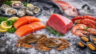Profitable Seafood Wholesale with Cold Storage Warehouse