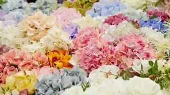 Established Flower Shop and Online Florist With Great Reputation