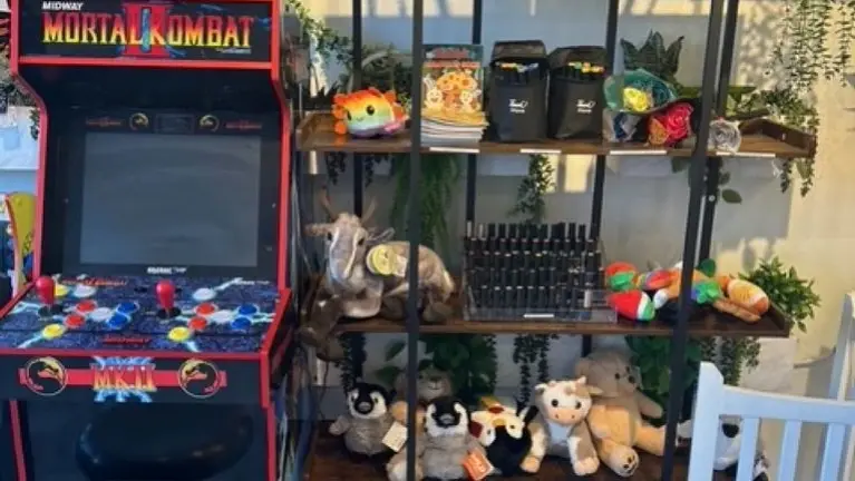 Arcade and Stuffed Animals