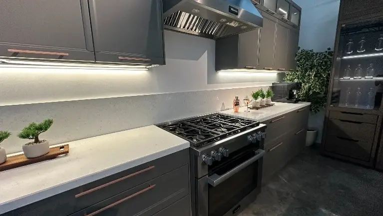 Flavour Model Display Flavour Model Display