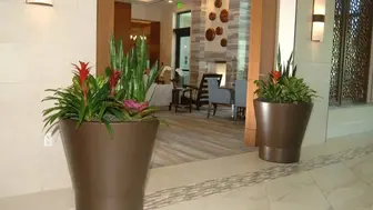 Profitable Interior Plantscape Business
