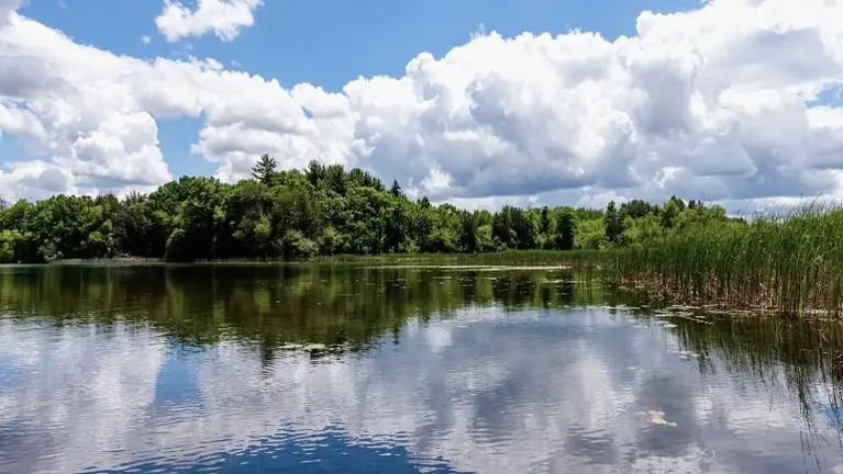 Chiropractic Practice for Sale in Kenosha County, WI