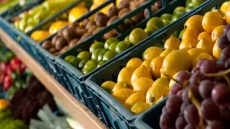 Well Est. Seasonal Fruit and Vegetable Market 