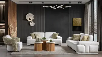 Established Furniture Import Business Serving Major Retail Accounts