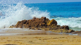 Hospice Agency for Sale – Southern California Medicare Certified