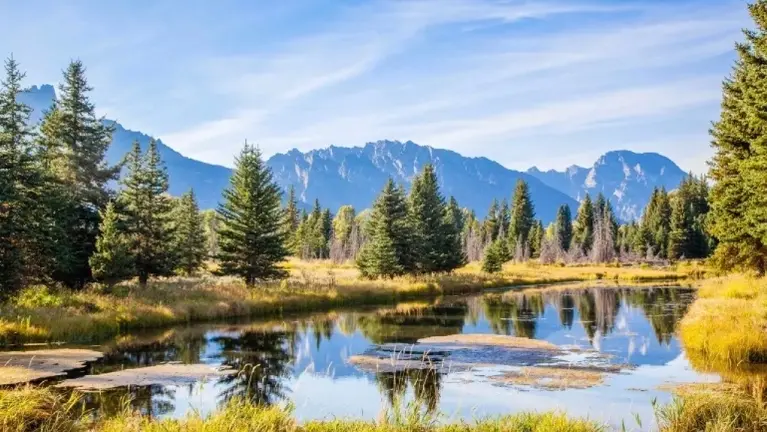 SO much open space <3