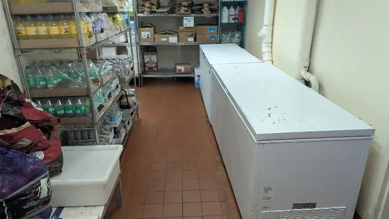 Freezers and storage