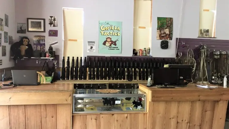 Laser Tag Counter
