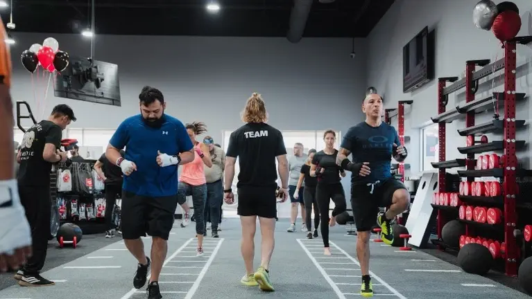 DUT Training DUT Training