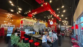 Own a Urban Bird Hot Chicken Franchise