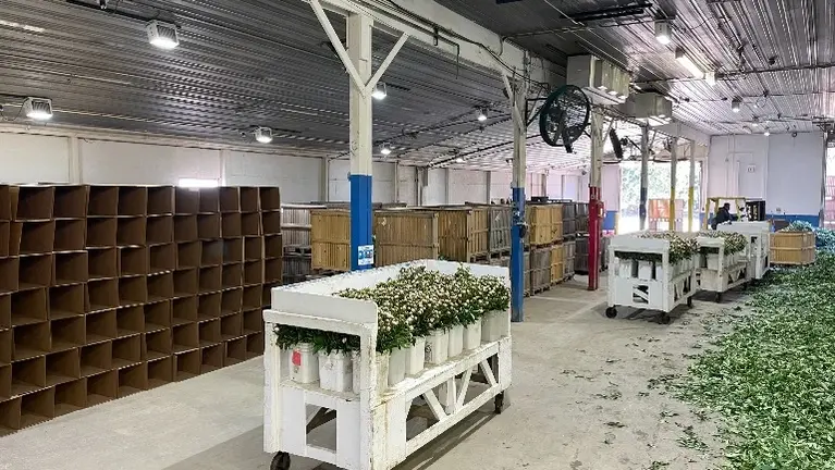 Main Warehouse (Peony Production)