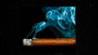 Absentee Smoke Shop: Cathedral City, California 