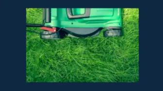 Premier Landscaping Business- Strong Contractual Revenues!