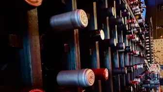 Upscale Jupiter Wine Bar- Turn Key opportunity