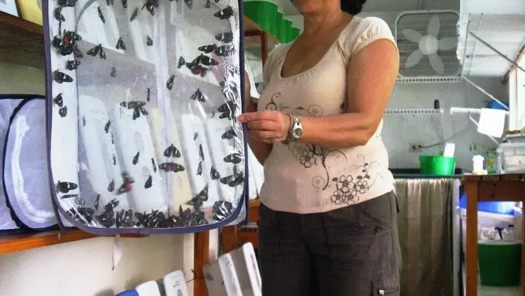 Butterfly Laboratory