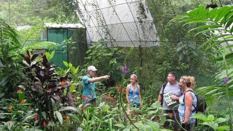 Tour in butterfly gardens