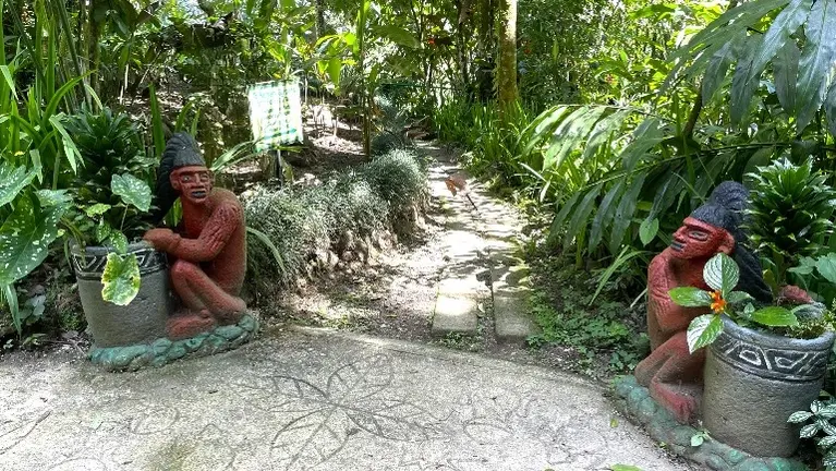 Trail from Frog Habitat