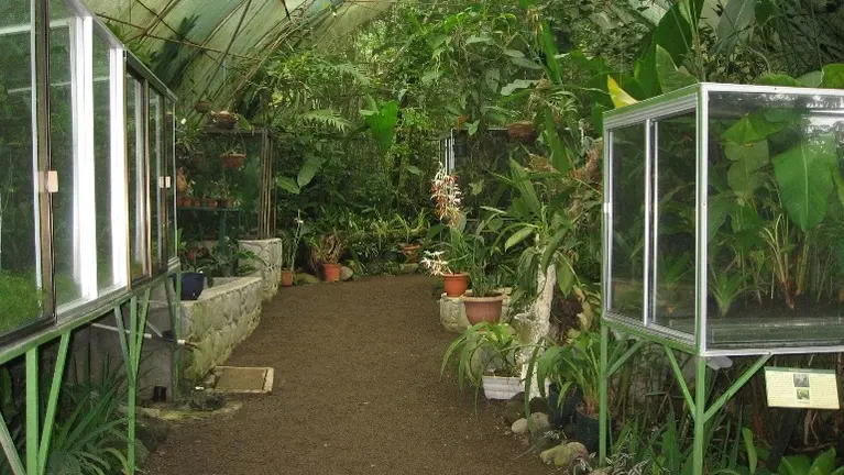 Frog & Amphian Habitat