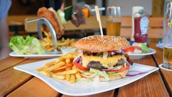 High Volume Bar and Grill for Sale in Tampa with Earnings