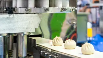 Turnkey FDA Food Production Facility + Advanced USDA Approval