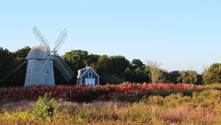Cape Cod