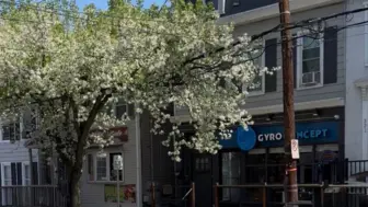 Gyro Concept in Easton PA, Lafayette Campus