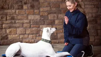 Manager-Run Dog Training Business with Clear Growth Upside