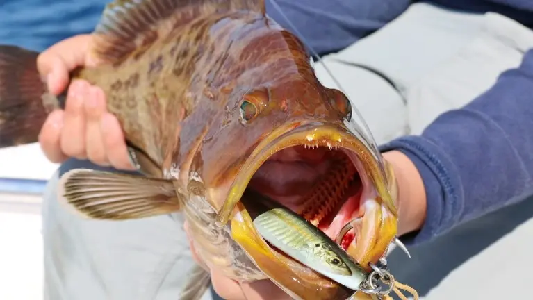 Vertical jigs Vertical jigs