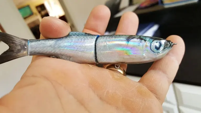 Skinz over swimbait Skinz over swimbait