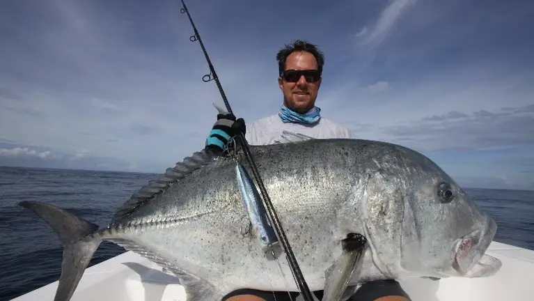 Big Fish Big Fish
