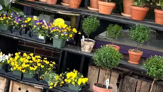 Florist for Sale in NY - Established Opportunity