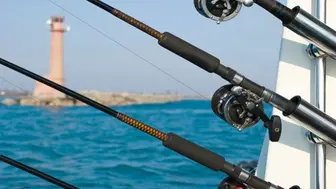 Established Owner Absentee Live Bait, Tackle, Hunt store