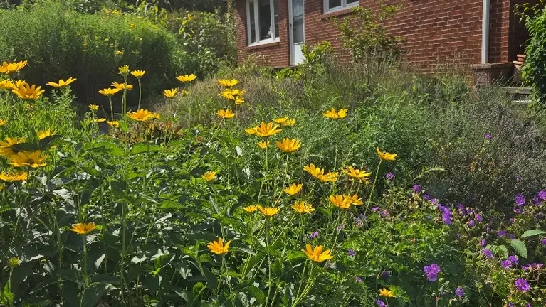 Well-built house can be a residence for owner or greenhouse manager; or serve as a rental.