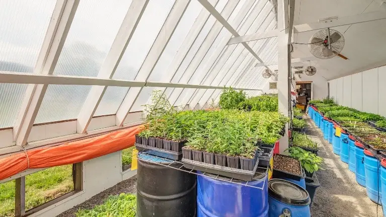 By adjusting vents, the greenhouse stays ideal temperatures for quickly producing native perennials.