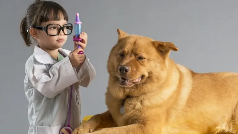 Veterinarian Business Veterinarian Business