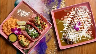 Thriving Modern Mexican Fusion Restaurant