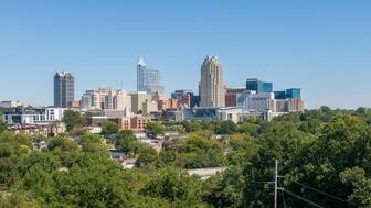 Restaurant Broker Franchise for Sale in Greenville South Carolina