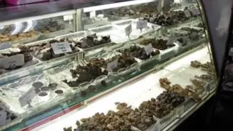 Chocolate Business for Sale in Hudson County, NJ