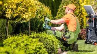 Established Landscaping & Lawn Care Franchise