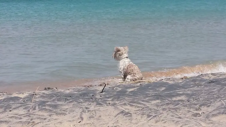 A summer day on Lake MI