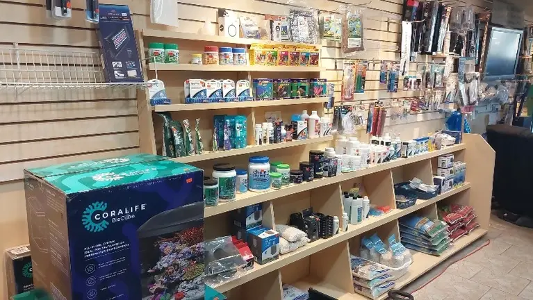 Retail Shelving: Slat wall and shelving holding dry goods, with heavier items below. All current inventory is included.