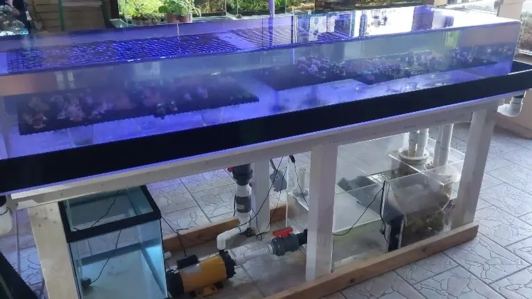 8'x2' Custom Acrylic Infinity Overflow Frag Tank: This iconic, high-visibility display is the first thing customers see when walking through the door.  