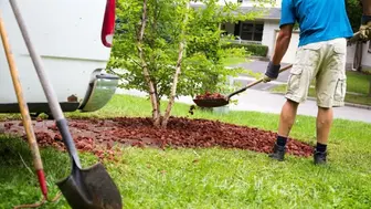 Maintenance Landscaping Company