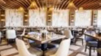 Your Concept Your Opportunity