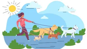 Dog Walking & Pet Sitting Business For Sale